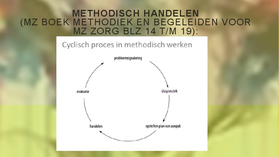 METHODISCH HANDELEN (MZ BOEK METHODIEK EN BEGELEIDEN VOOR MZ ZORG BLZ 14 T/M 19):
