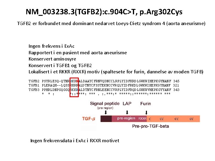 NM_003238. 3(TGFB 2): c. 904 C>T, p. Arg 302 Cys TGFB 2 er forbundet