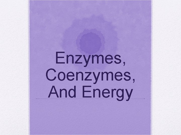 Enzymes, Coenzymes, And Energy 