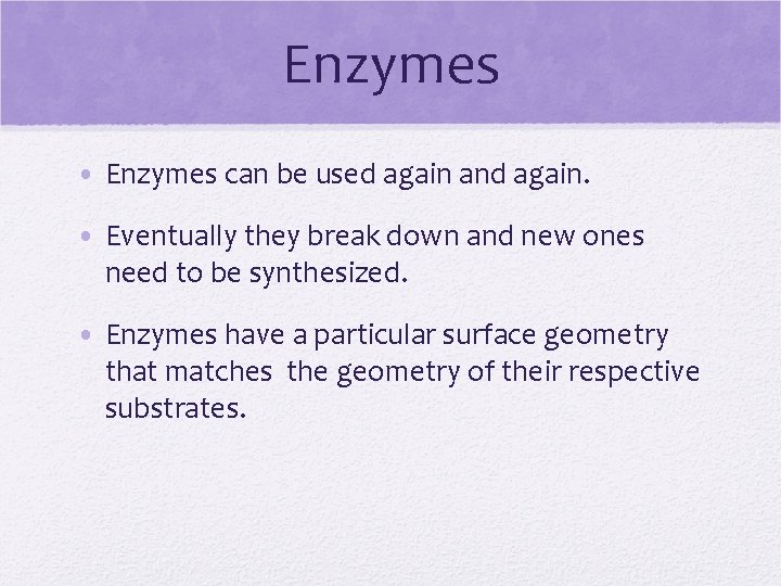 Enzymes • Enzymes can be used again and again. • Eventually they break down