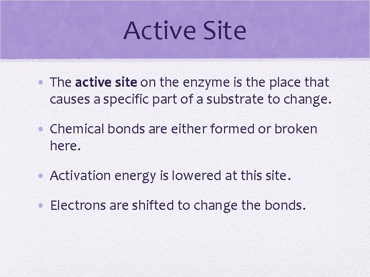 Active Site • The active site on the enzyme is the place that causes