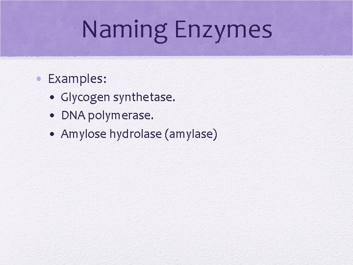 Naming Enzymes • Examples: • Glycogen synthetase. • DNA polymerase. • Amylose hydrolase (amylase)