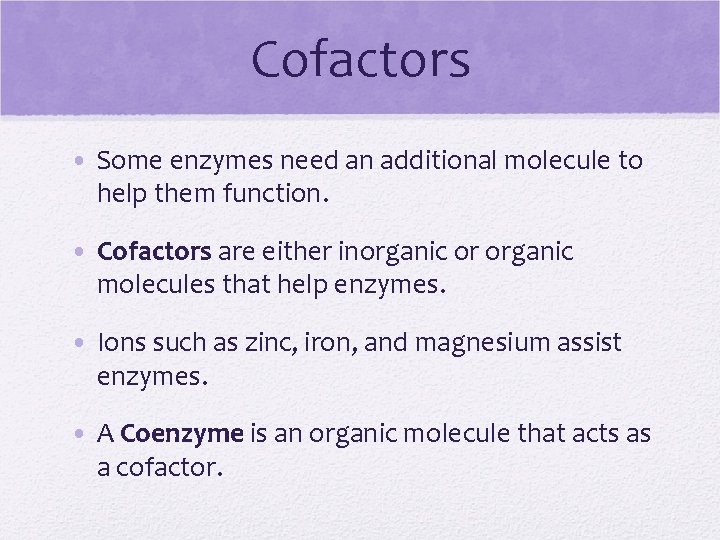Cofactors • Some enzymes need an additional molecule to help them function. • Cofactors