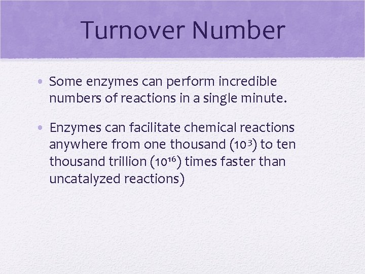 Turnover Number • Some enzymes can perform incredible numbers of reactions in a single