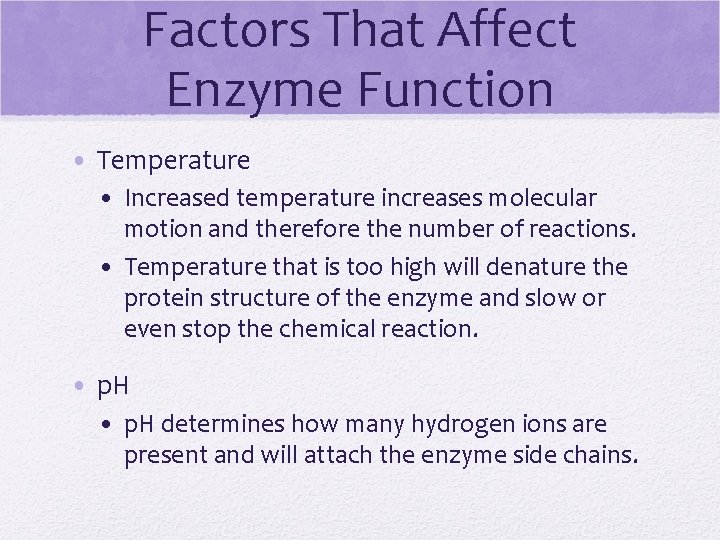 Factors That Affect Enzyme Function • Temperature • Increased temperature increases molecular motion and
