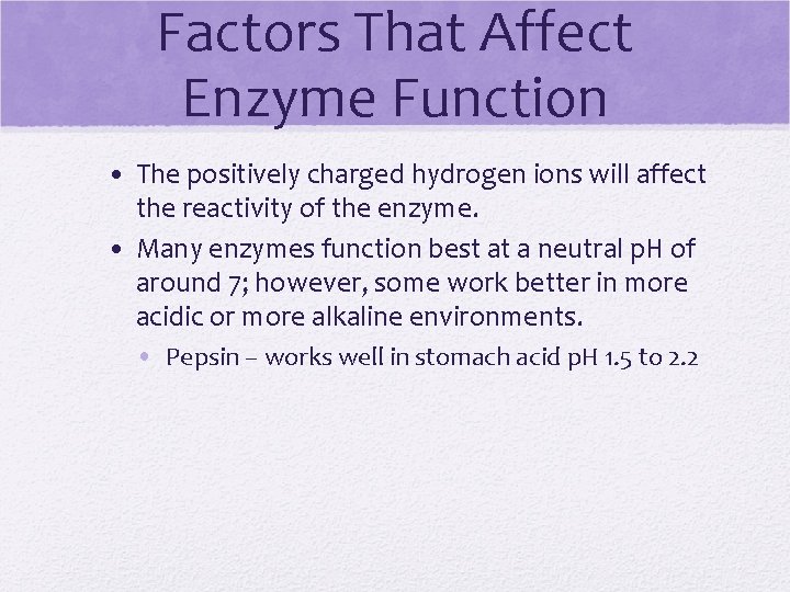 Factors That Affect Enzyme Function • The positively charged hydrogen ions will affect the