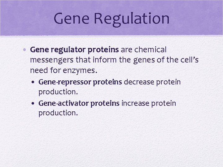 Gene Regulation • Gene regulator proteins are chemical messengers that inform the genes of