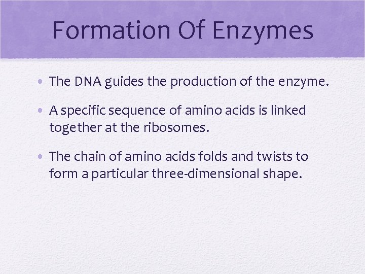 Formation Of Enzymes • The DNA guides the production of the enzyme. • A