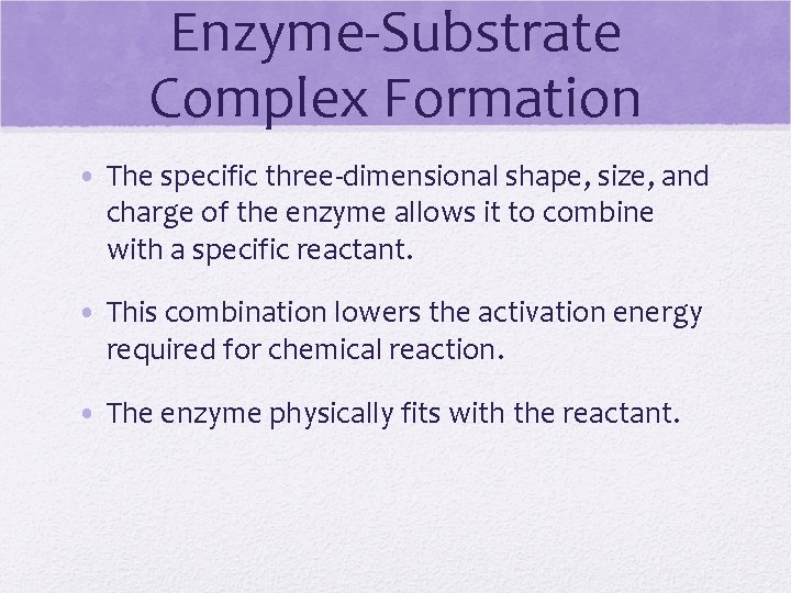 Enzyme-Substrate Complex Formation • The specific three-dimensional shape, size, and charge of the enzyme