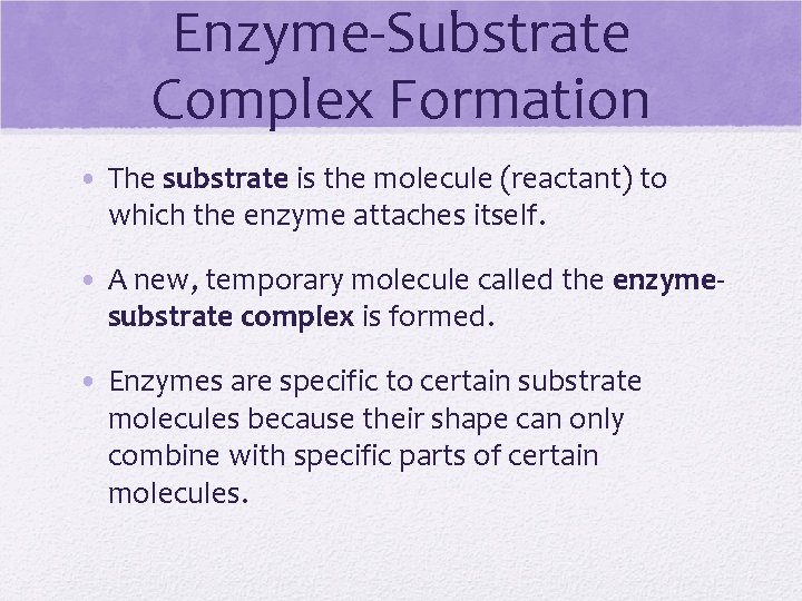 Enzyme-Substrate Complex Formation • The substrate is the molecule (reactant) to which the enzyme