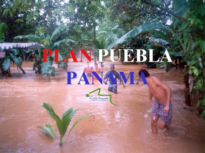PLAN PUEBLA PANAMA PLAN PUEBLA PANAMA