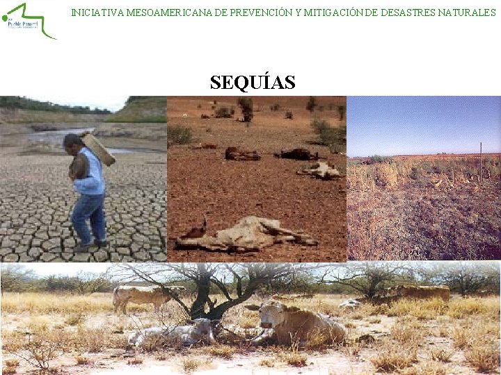 INICIATIVA MESOAMERICANA DE PREVENCIÓN Y MITIGACIÓN DE DESASTRES NATURALES SEQUÍAS INICIATIVA MESOAMERICANA DE PREVENCIÓN Y MITIGACIÓN DE DESASTRES NATURALES SEQUÍAS