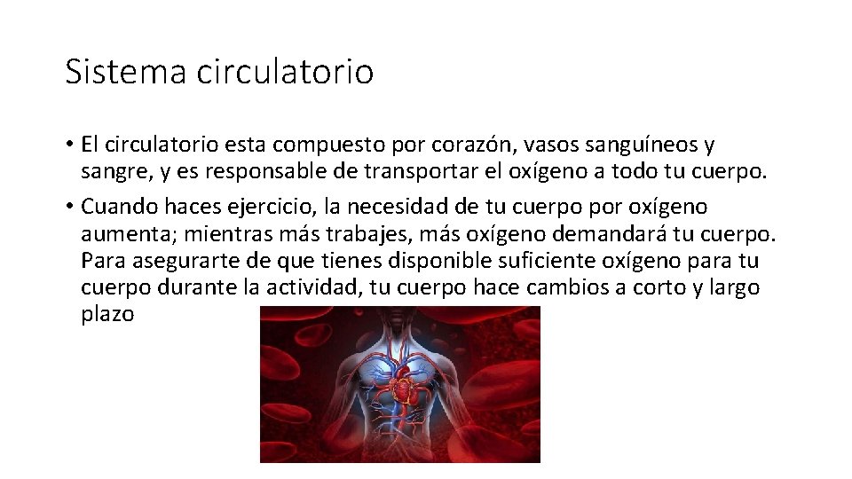 Sistema circulatorio • El circulatorio esta compuesto por corazón, vasos sanguíneos y sangre, y