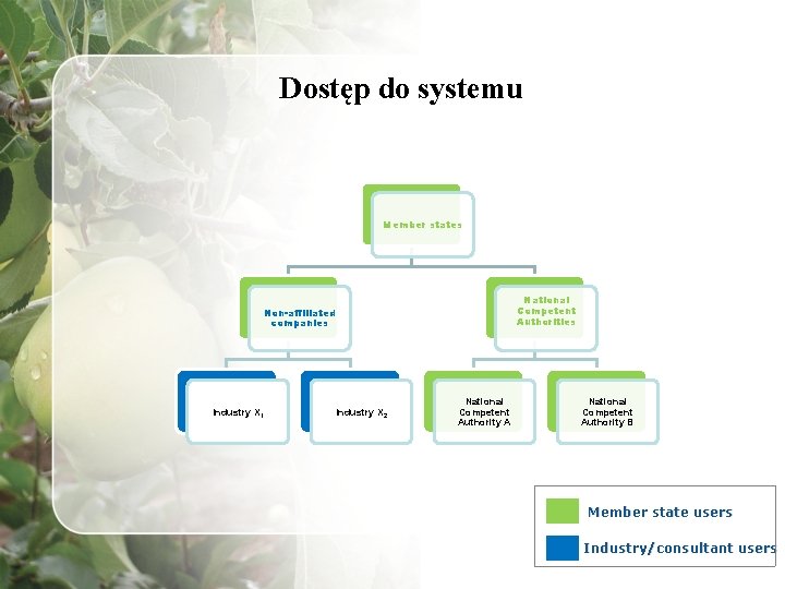Dostęp do systemu Member states National Competent Authorities Non-affiliated companies Industry X 1 Industry