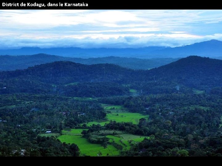 District de Kodagu, dans le Karnataka 