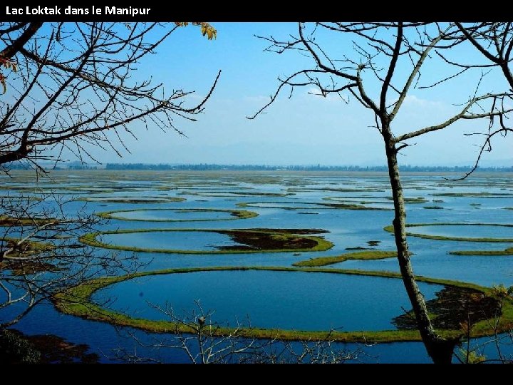 Lac Loktak dans le Manipur 