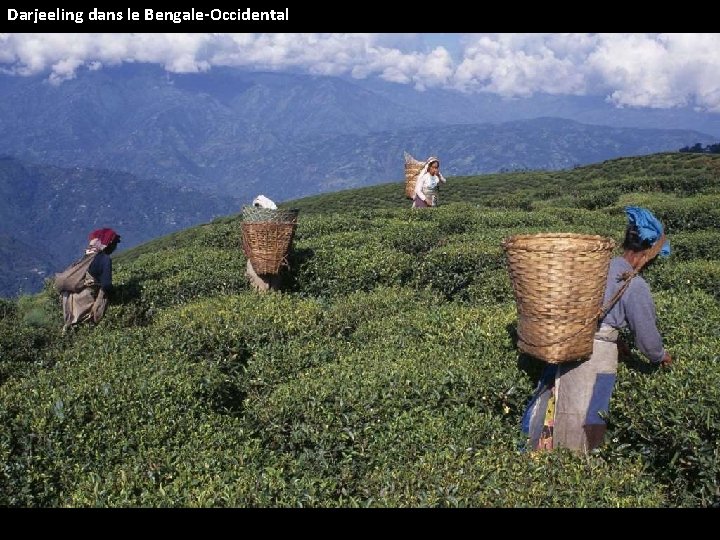 Darjeeling dans le Bengale-Occidental 