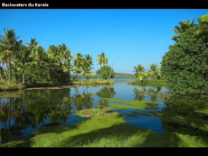 Backwaters du Kerala 