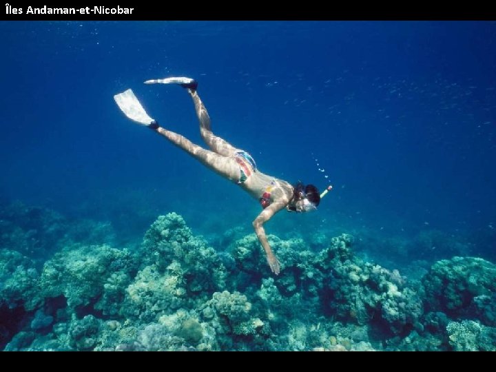 Îles Andaman-et-Nicobar 