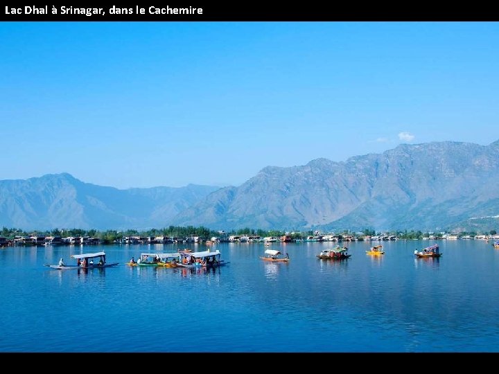 Lac Dhal à Srinagar, dans le Cachemire 