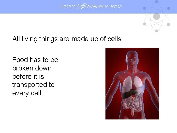 Science Differentiation in action All living things are made up of cells. Food has