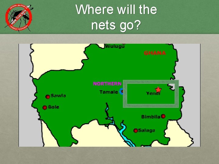 Where will the nets go? 