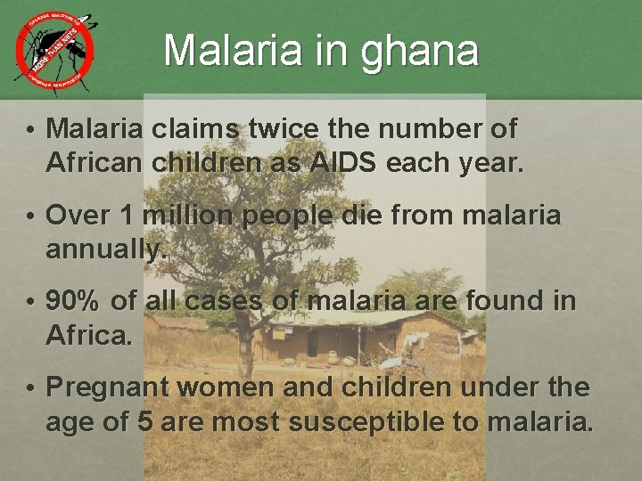Malaria in ghana • Malaria claims twice the number of African children as AIDS