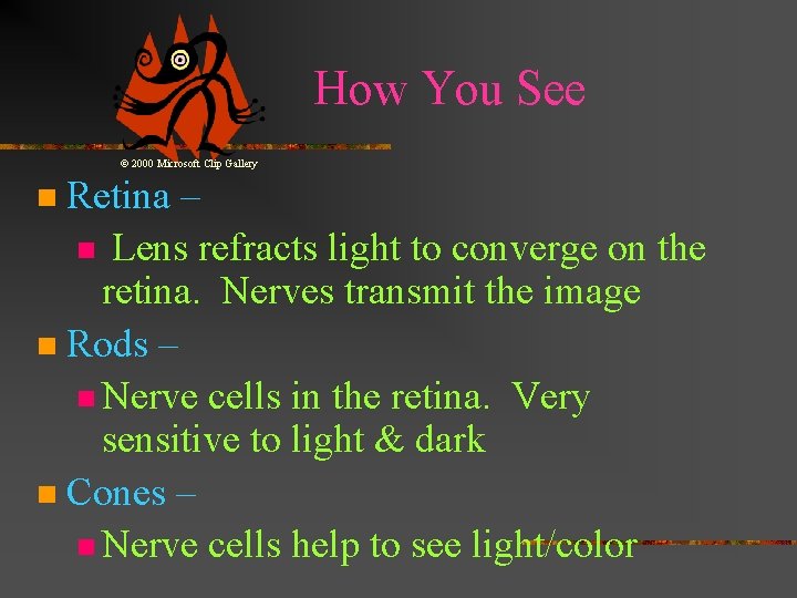 How You See © 2000 Microsoft Clip Gallery Retina – n Lens refracts light