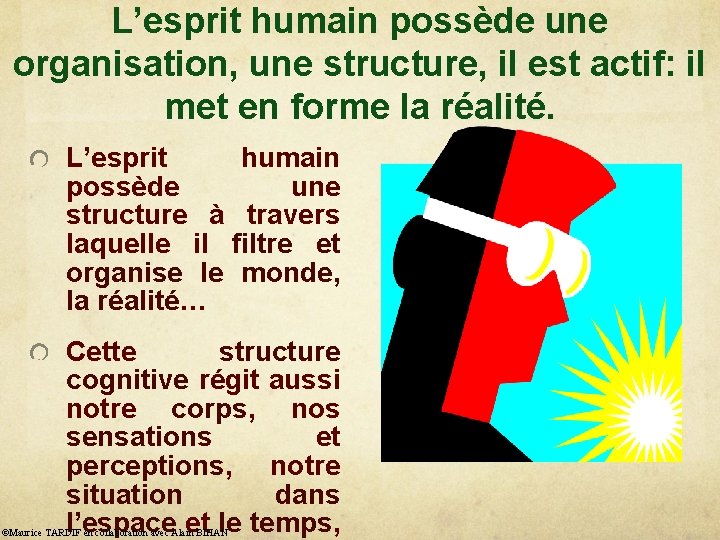 L’esprit humain possède une organisation, une structure, il est actif: il met en forme