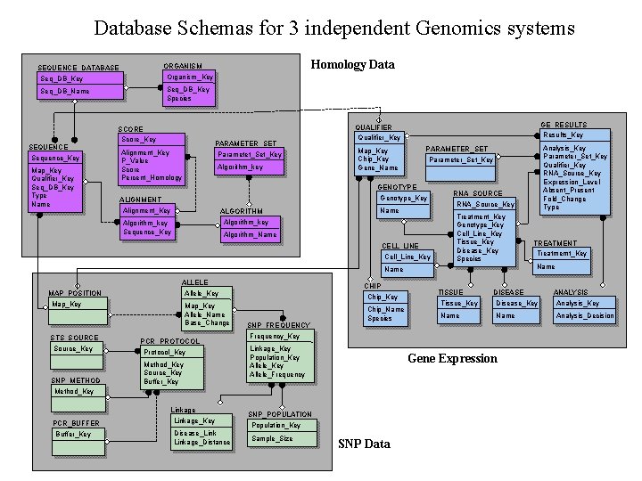 Database Schemas for 3 independent Genomics systems Seq_DB_Key Species Seq_DB_Name SEQUENCE Sequence_Key Map_Key Qualifier_Key