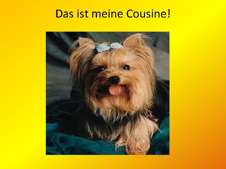 Das ist meine Cousine! 