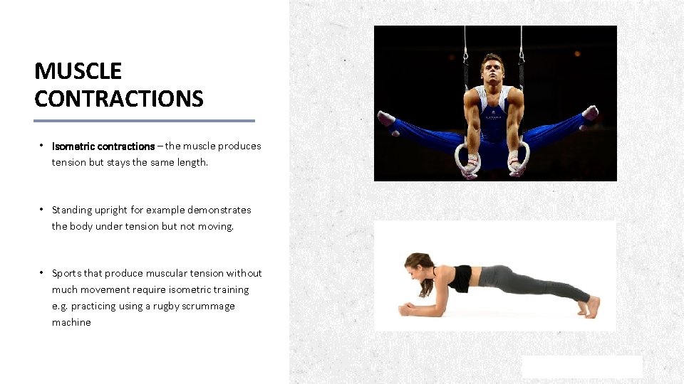 MUSCLE CONTRACTIONS • Isometric contractions – the muscle produces tension but stays the same