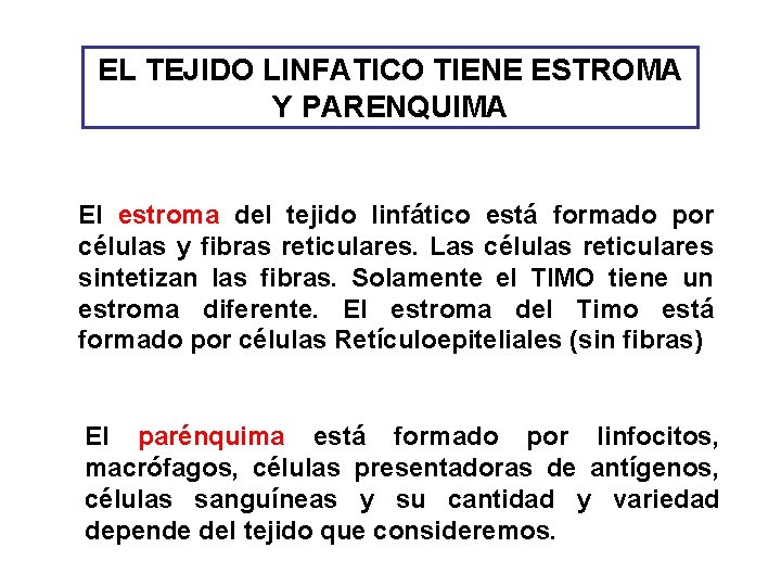 EL TEJIDO LINFATICO TIENE ESTROMA Y PARENQUIMA El estroma del tejido linfático está formado