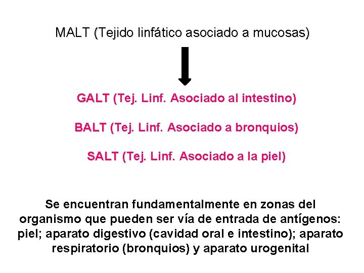 MALT (Tejido linfático asociado a mucosas) GALT (Tej. Linf. Asociado al intestino) BALT (Tej.