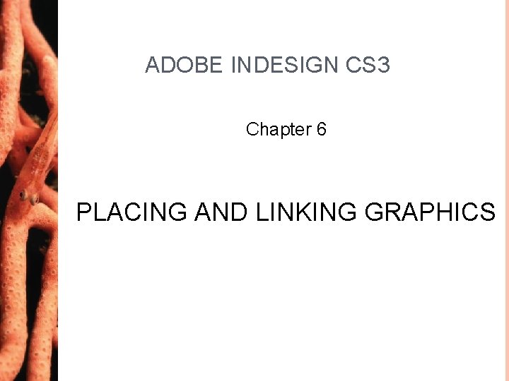 ADOBE INDESIGN CS 3 Chapter 6 PLACING AND LINKING GRAPHICS 