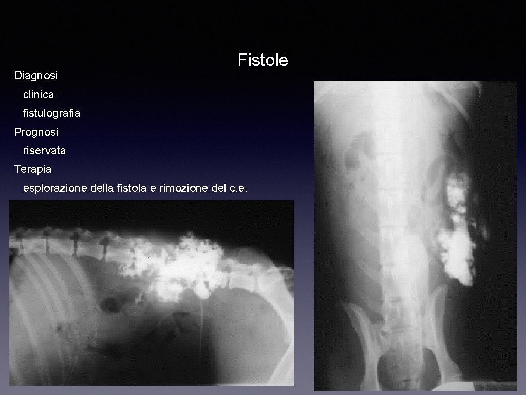 Diagnosi Fistole clinica fistulografia Prognosi riservata Terapia esplorazione della fistola e rimozione del c.