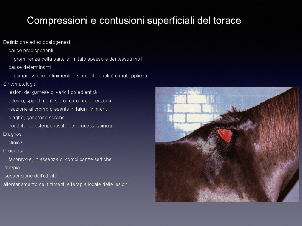 Compressioni e contusioni superficiali del torace Definizione ed eziopatogenesi cause predisponenti prominenza della parte