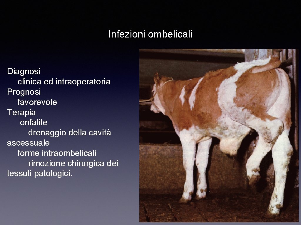 Infezioni ombelicali Diagnosi clinica ed intraoperatoria Prognosi favorevole Terapia onfalite drenaggio della cavità ascessuale