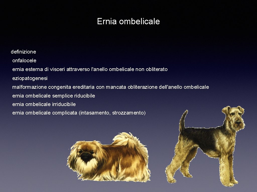 Ernia ombelicale definizione onfalocele ernia esterna di visceri attraverso l'anello ombelicale non obliterato eziopatogenesi
