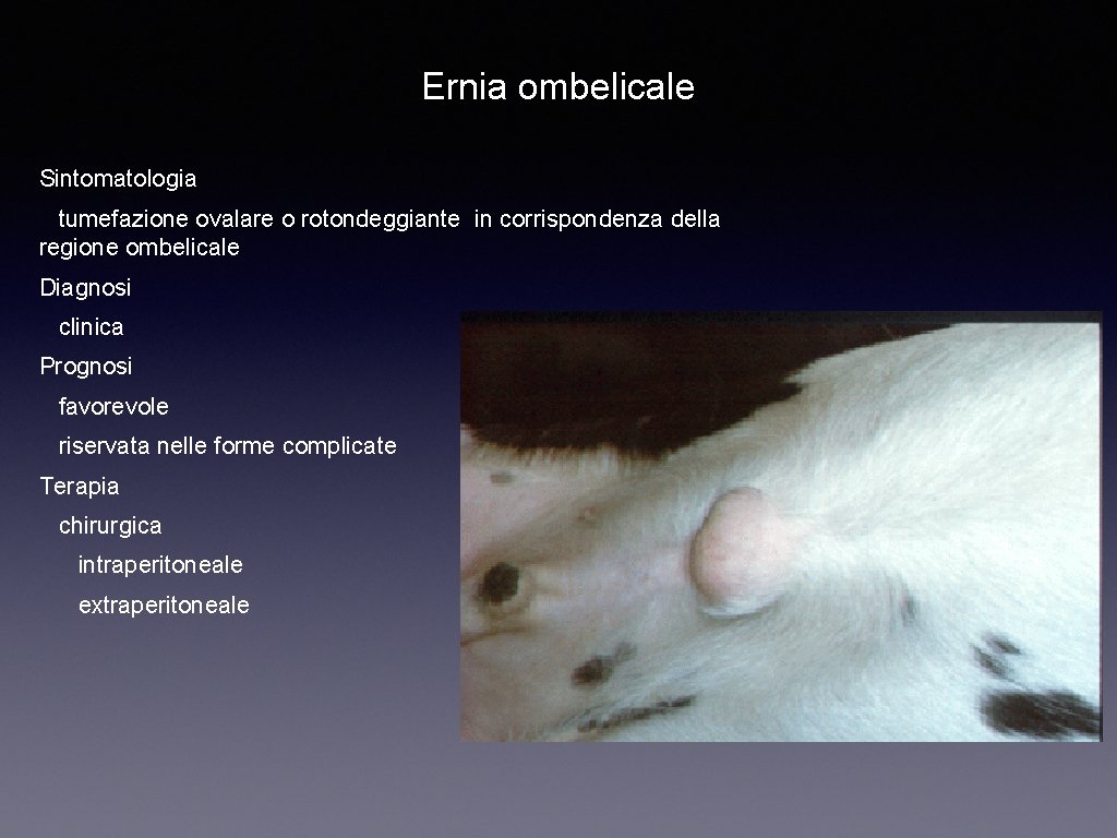 Ernia ombelicale Sintomatologia tumefazione ovalare o rotondeggiante in corrispondenza della regione ombelicale Diagnosi clinica