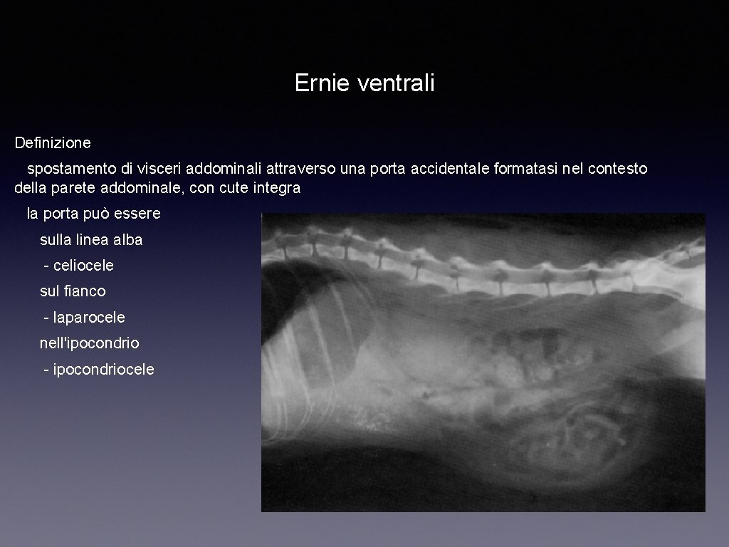 Ernie ventrali Definizione spostamento di visceri addominali attraverso una porta accidentale formatasi nel contesto