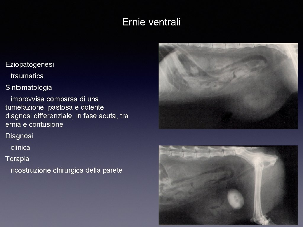 Ernie ventrali Eziopatogenesi traumatica Sintomatologia improvvisa comparsa di una tumefazione, pastosa e dolente diagnosi