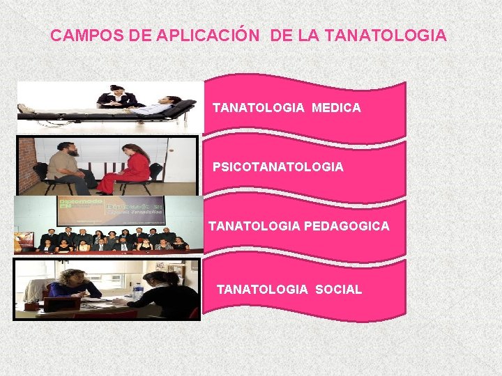 CAMPOS DE APLICACIÓN DE LA TANATOLOGIA MEDICA PSICOTANATOLOGIA PEDAGOGICA TANATOLOGIA SOCIAL 