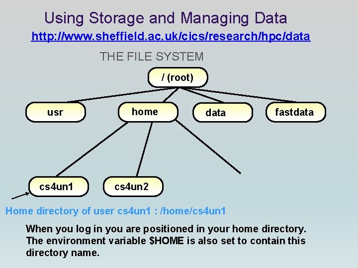 Using Storage and Managing Data http: //www. sheffield. ac. uk/cics/research/hpc/data THE FILE SYSTEM Using Storage and Managing Data http: //www. sheffield. ac. uk/cics/research/hpc/data THE FILE SYSTEM