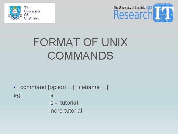 FORMAT OF UNIX COMMANDS • command [option. . . ] [filename. . . ]