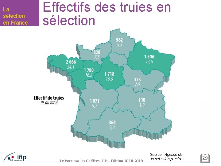 La sélection en France Effectifs des truies en sélection Le Porc par les Chiffres