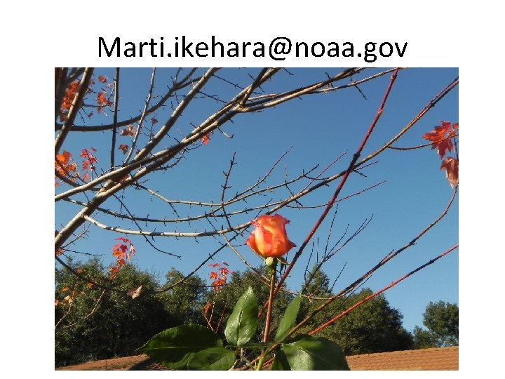 Marti. ikehara@noaa. gov 