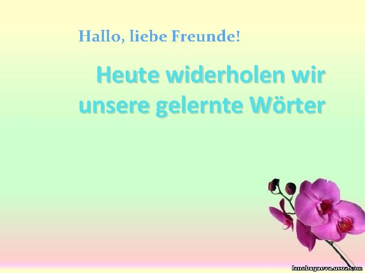 Hallo, liebe Freunde! Heute widerholen wir unsere gelernte Wörter 