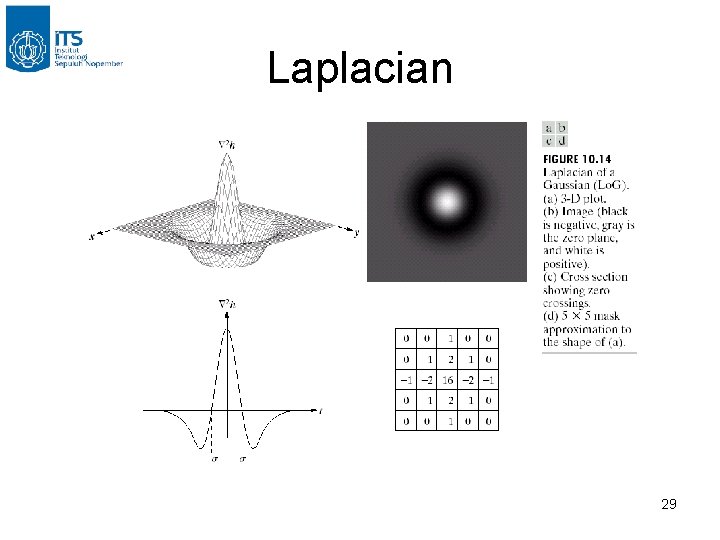 Laplacian 29 Laplacian 29