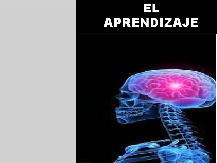 EL APRENDIZAJE 